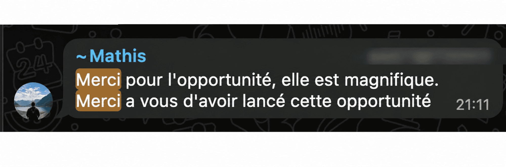 Message de Mathis : merci pour l'opportunité, elle est magnifique